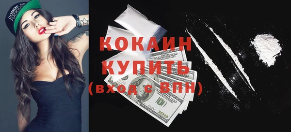 спиды Новодвинск