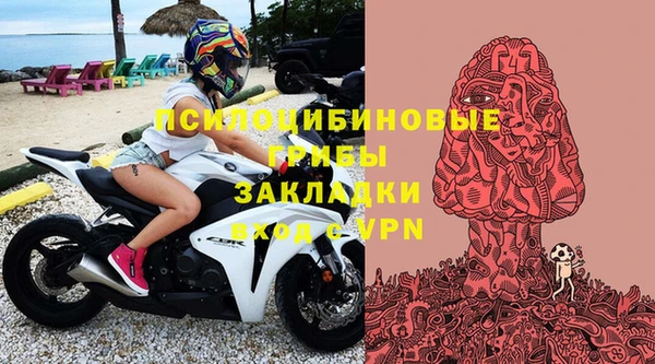 дживик Алексин