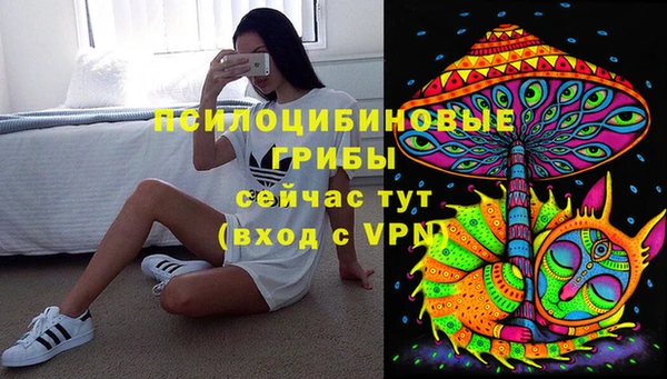 прущие грибы Алзамай