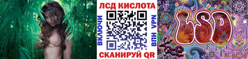 Марки 25I-NBOMe 1500мкг  Курчалой 