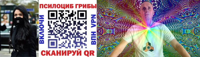 где можно купить Курчалой Галлюциногенные грибы прущие грибы